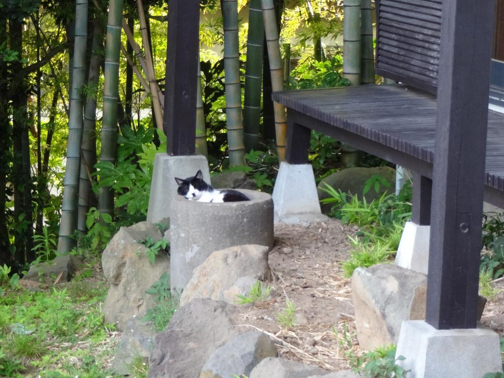 Ryokan Izuna Hotel Atami  Exterior foto